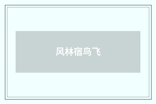 风林宿鸟飞