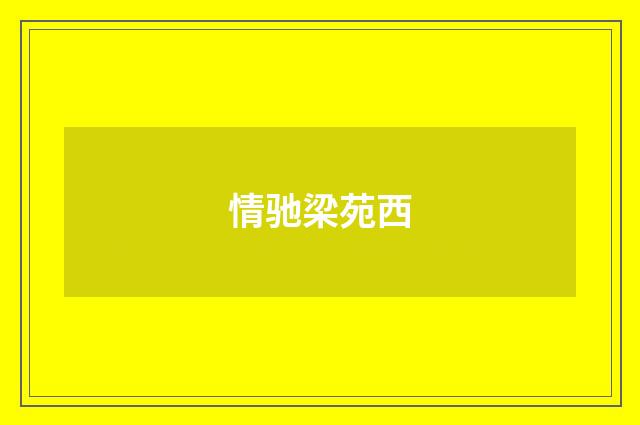 情驰梁苑西