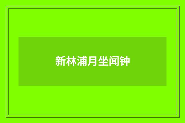 新林浦月坐闻钟