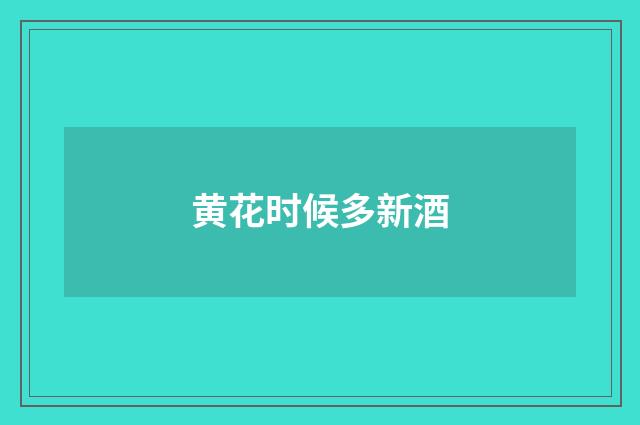黄花时候多新酒