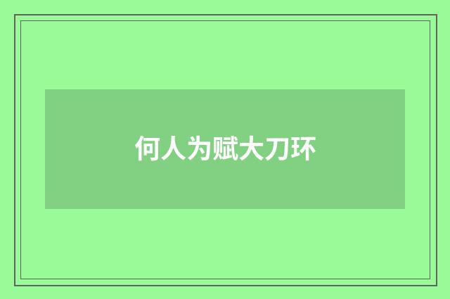 何人为赋大刀环