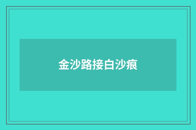 金沙路接白沙痕