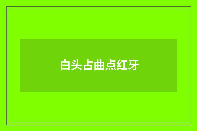 白头占曲点红牙