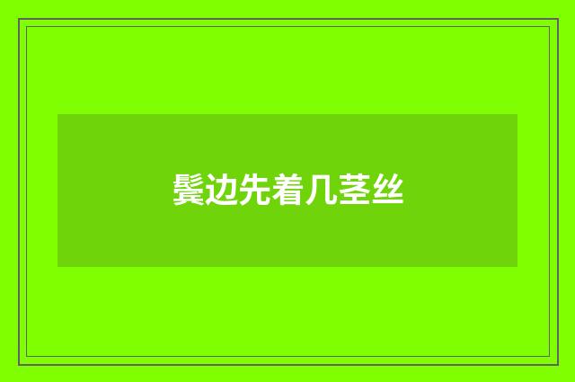 鬓边先着几茎丝