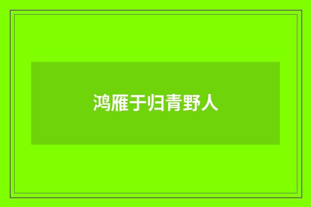 鸿雁于归青野人