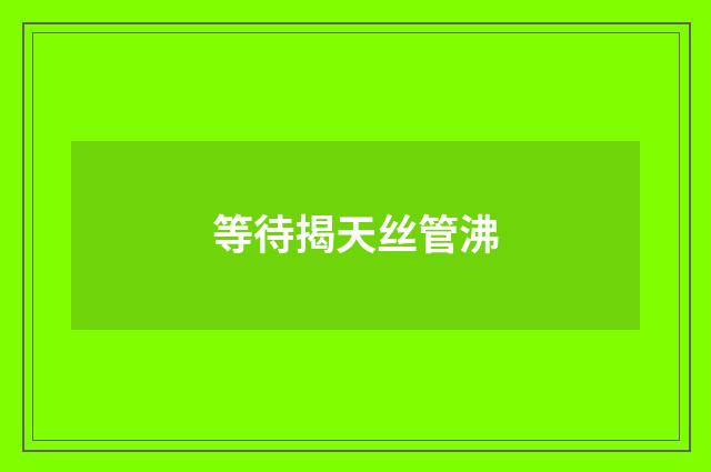 等待揭天丝管沸