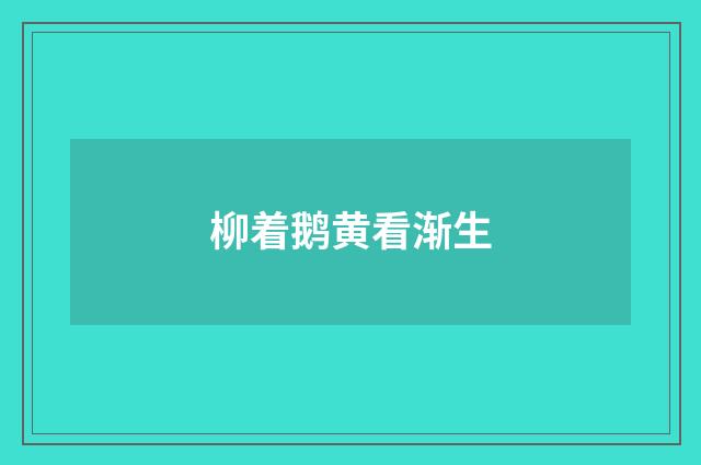 柳着鹅黄看渐生