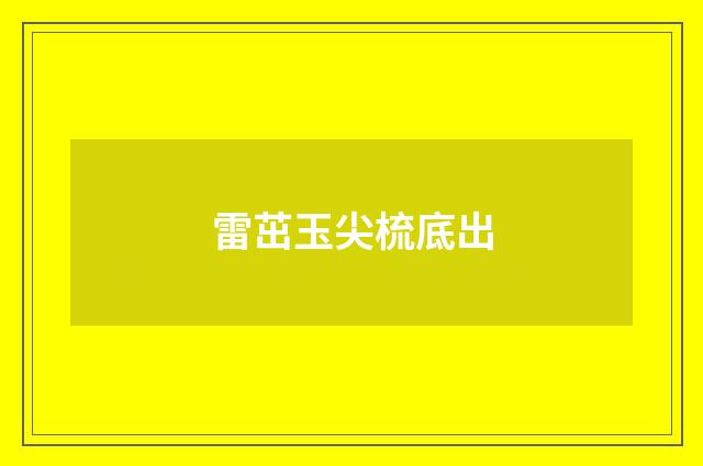 雷茁玉尖梳底出