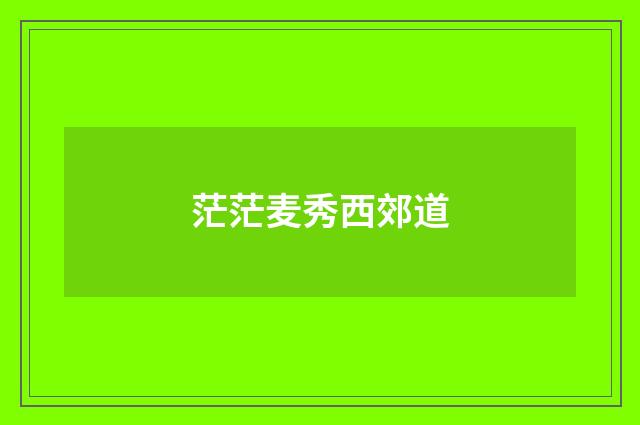 茫茫麦秀西郊道