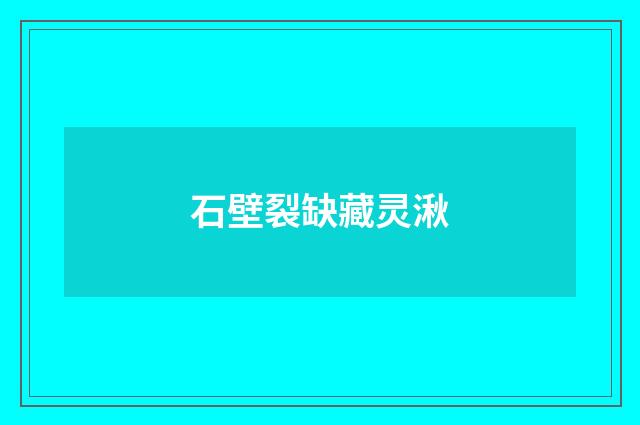 石壁裂缺藏灵湫