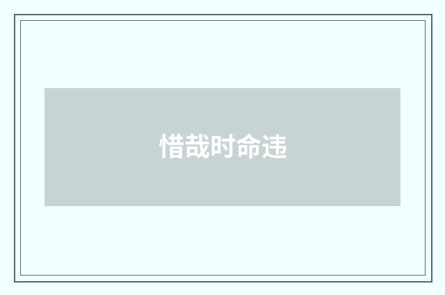 惜哉时命违