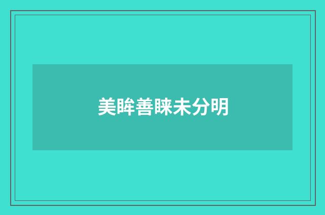 美眸善睐未分明
