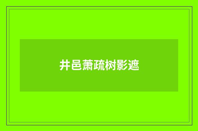 井邑萧疏树影遮