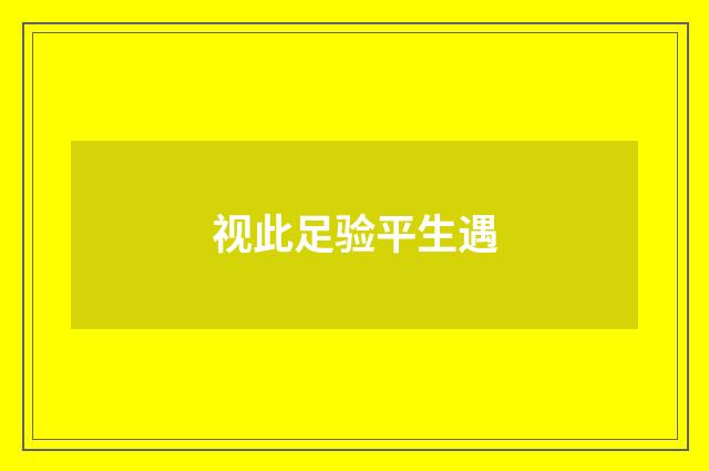 视此足验平生遇