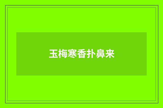 玉梅寒香扑鼻来