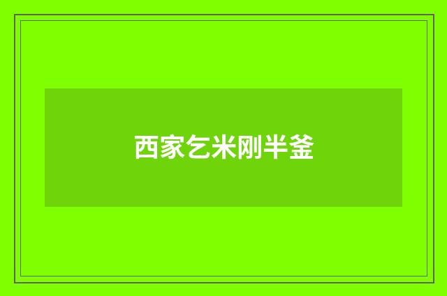西家乞米刚半釜