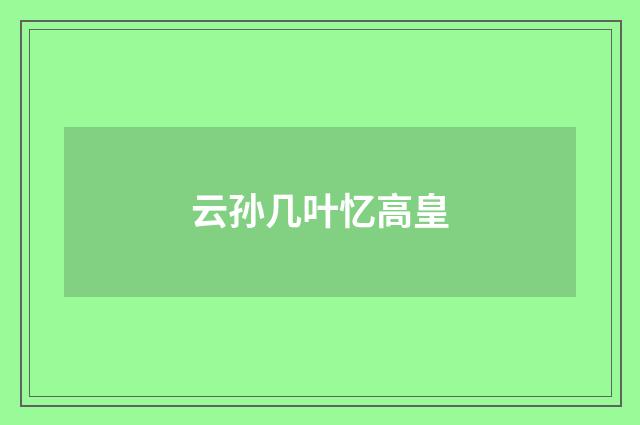 云孙几叶忆高皇