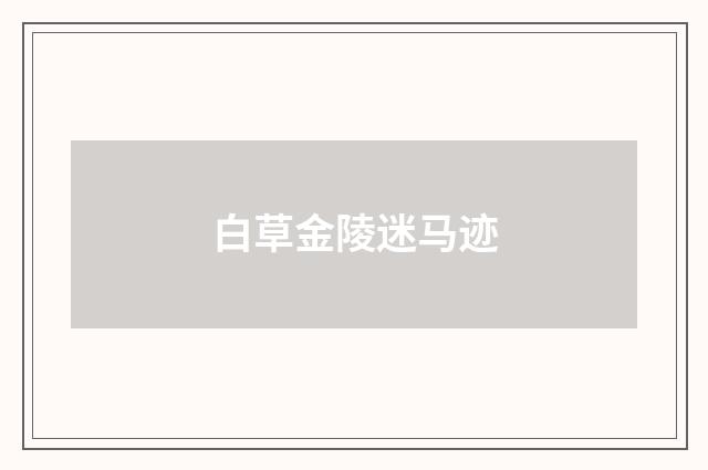 白草金陵迷马迹