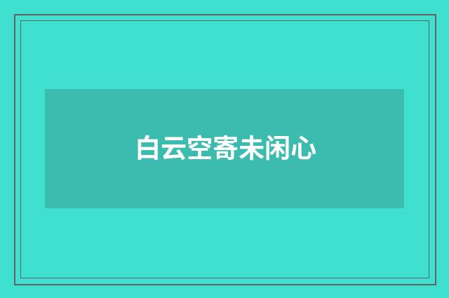 白云空寄未闲心