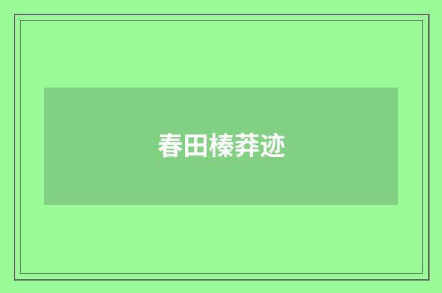 春田榛莽迹