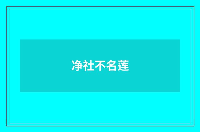净社不名莲