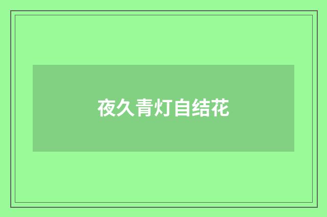 夜久青灯自结花