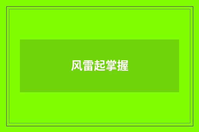 风雷起掌握