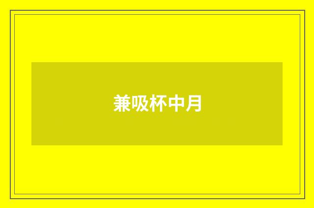 兼吸杯中月