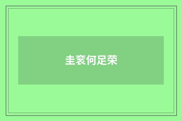 圭衮何足荣