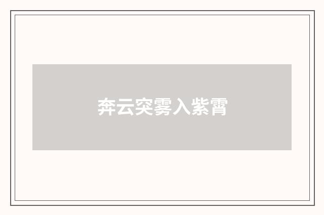 奔云突雾入紫霄