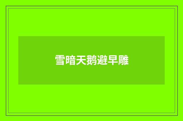 雪暗天鹅避早雕