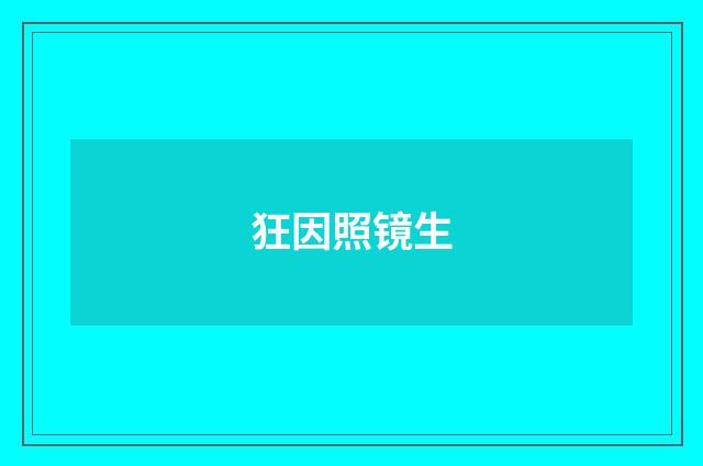 狂因照镜生