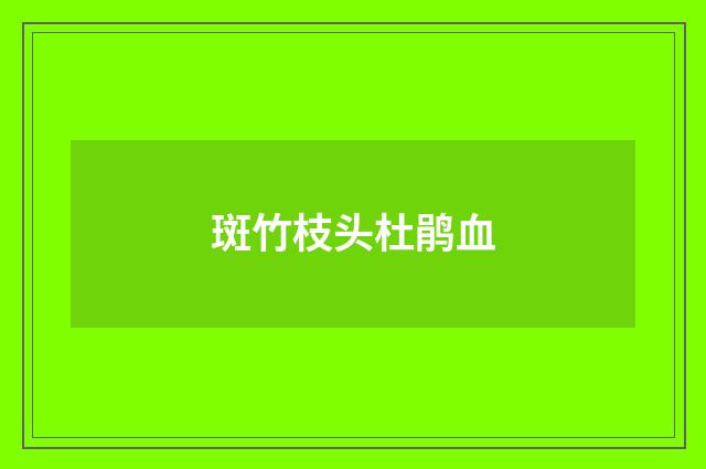 斑竹枝头杜鹃血