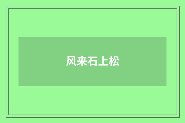 风来石上松