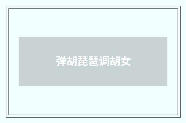 弹胡琵琶调胡女