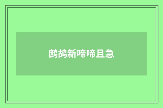 鹧鸪新啼啼且急
