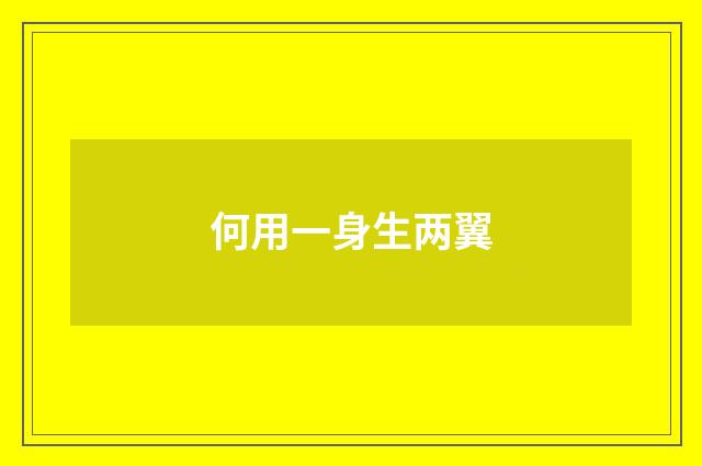 何用一身生两翼