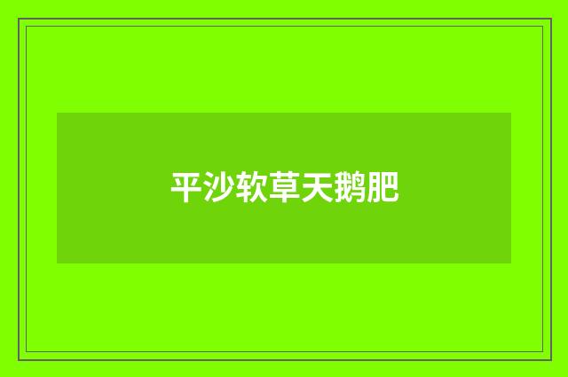 平沙软草天鹅肥
