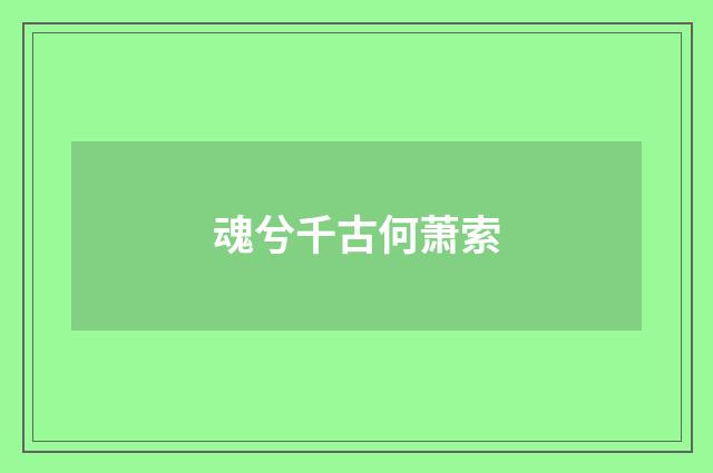 魂兮千古何萧索