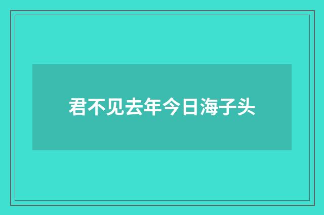 君不见去年今日海子头