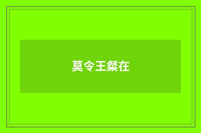 莫令王粲在