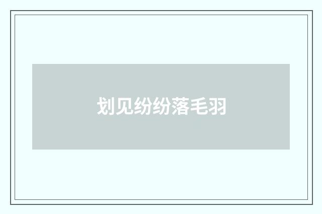 划见纷纷落毛羽