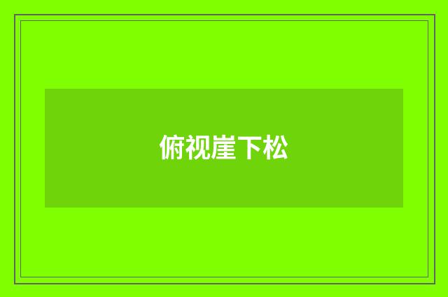 俯视崖下松