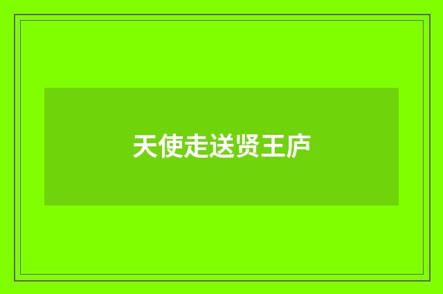 天使走送贤王庐