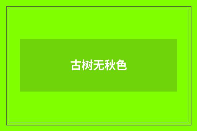 古树无秋色