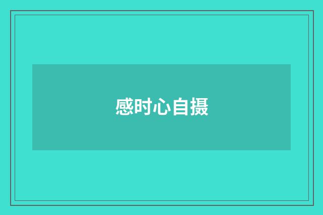 感时心自摄