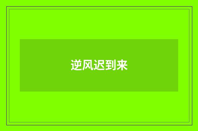 逆风迟到来