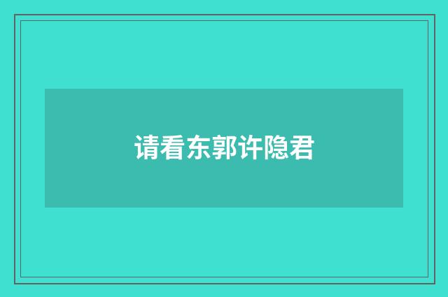 请看东郭许隐君
