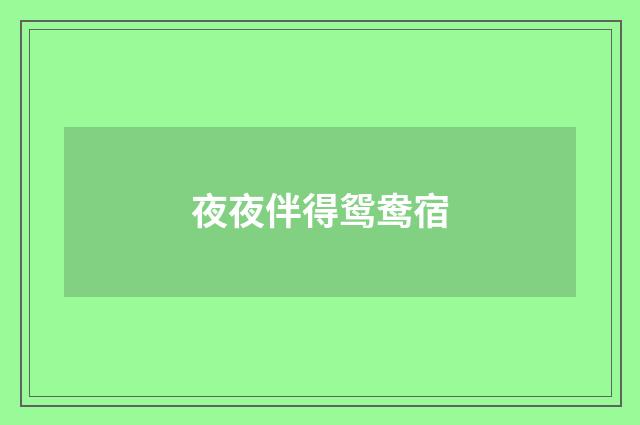 夜夜伴得鸳鸯宿
