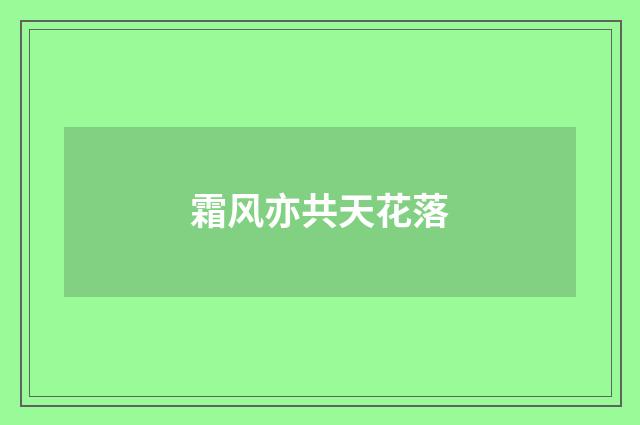 霜风亦共天花落